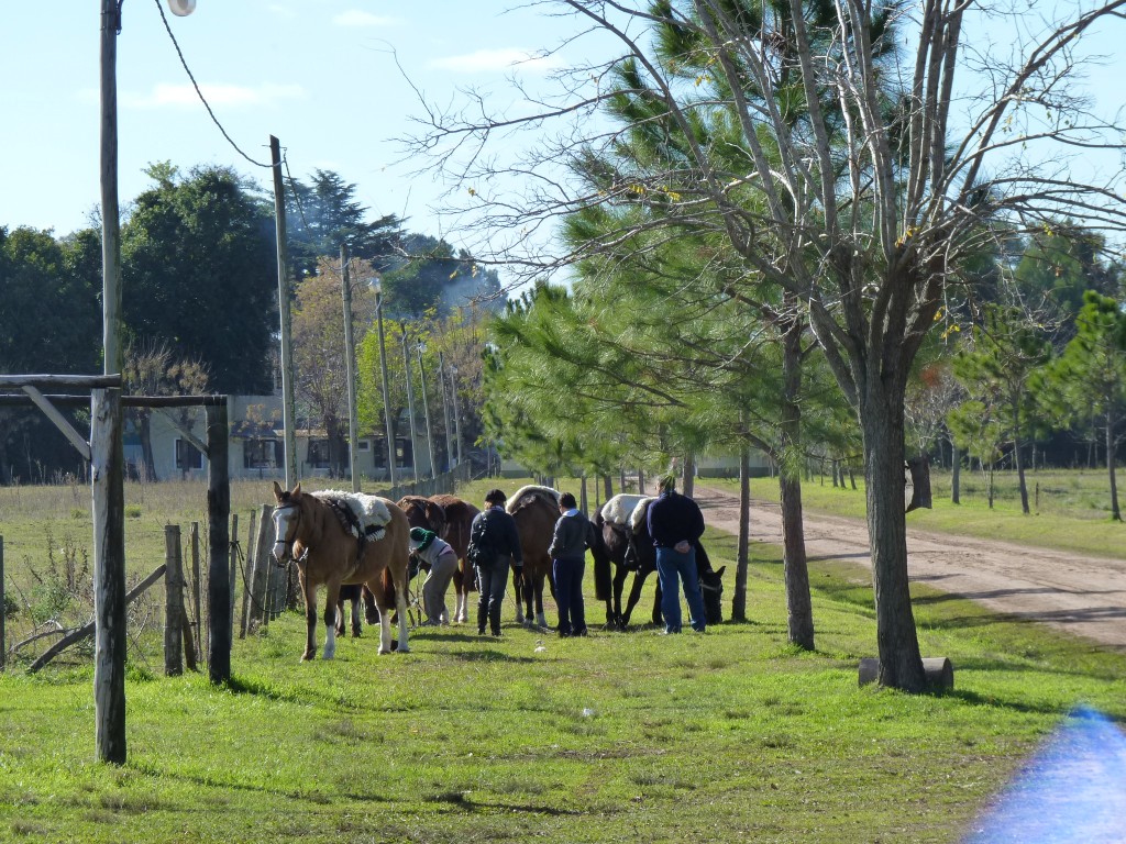Foto: Casa de campo - Tomás Jofré (Buenos Aires), Argentina