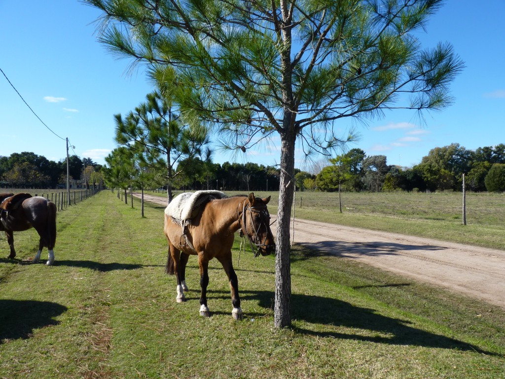 Foto: Casa de campo - Tomás Jofré (Buenos Aires), Argentina