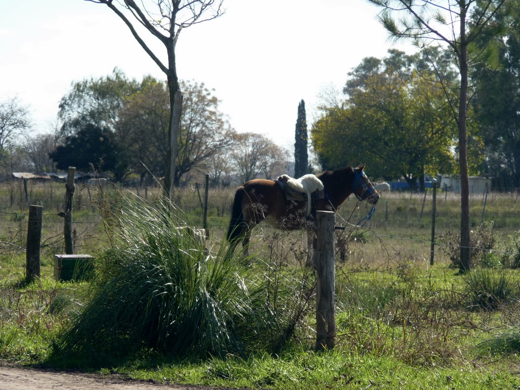 Foto: Casa de campo - Tomás Jofré (Buenos Aires), Argentina
