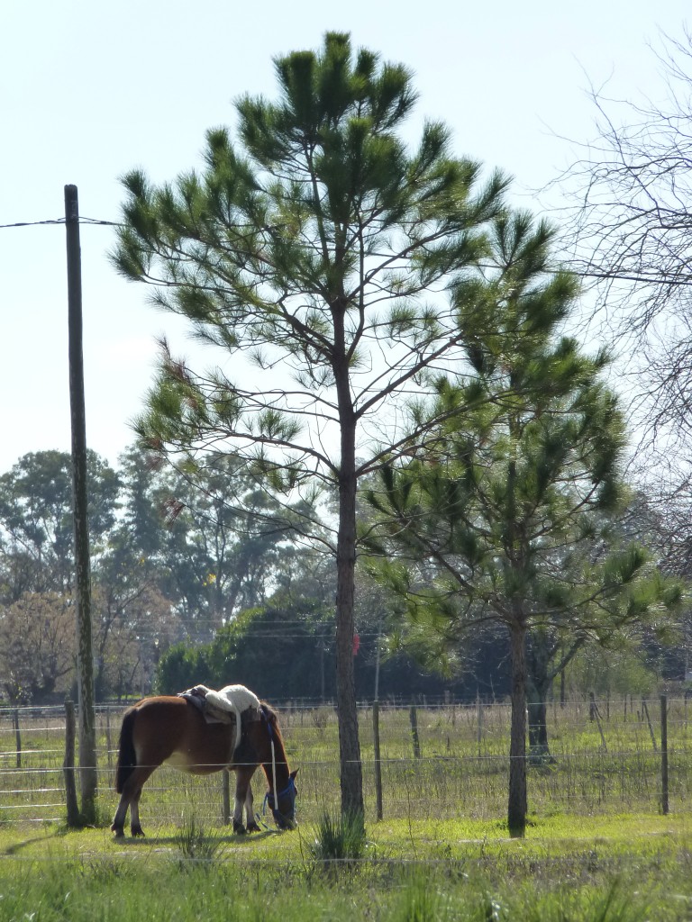 Foto: Casa de campo - Tomás Jofré (Buenos Aires), Argentina