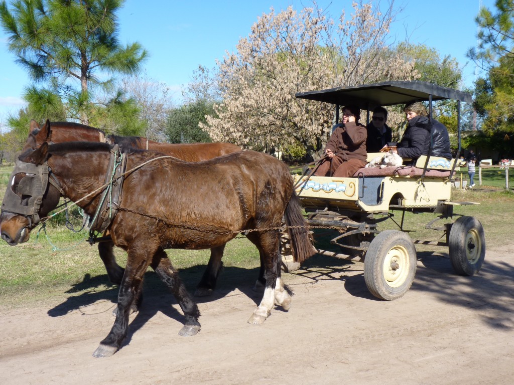 Foto: Casa se campo - Tomás Jofré (Buenos Aires), Argentina