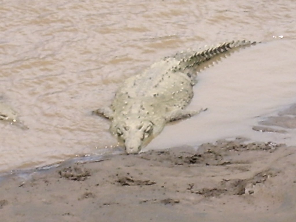 Foto: guanacaste - Playa Hermosa (Guanacaste), Costa Rica