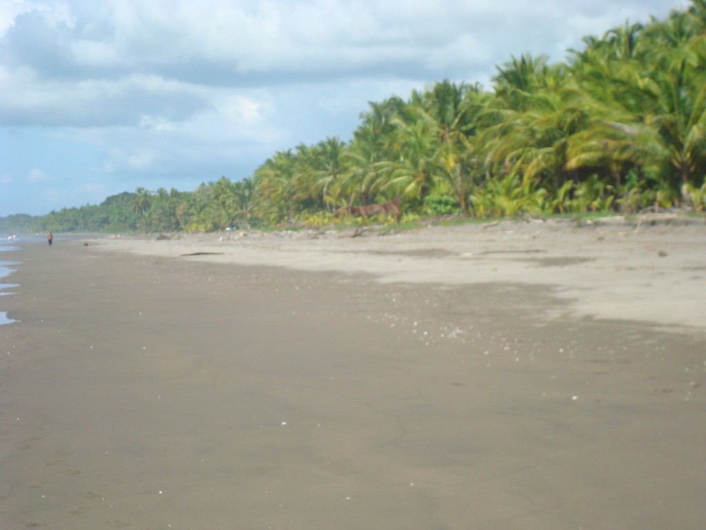 Foto de Playa Hermosa (Guanacaste), Costa Rica
