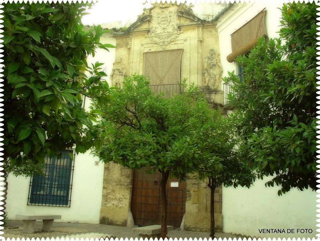 Foto: PALACIO DE VIANA - Córdoba (Andalucía), España