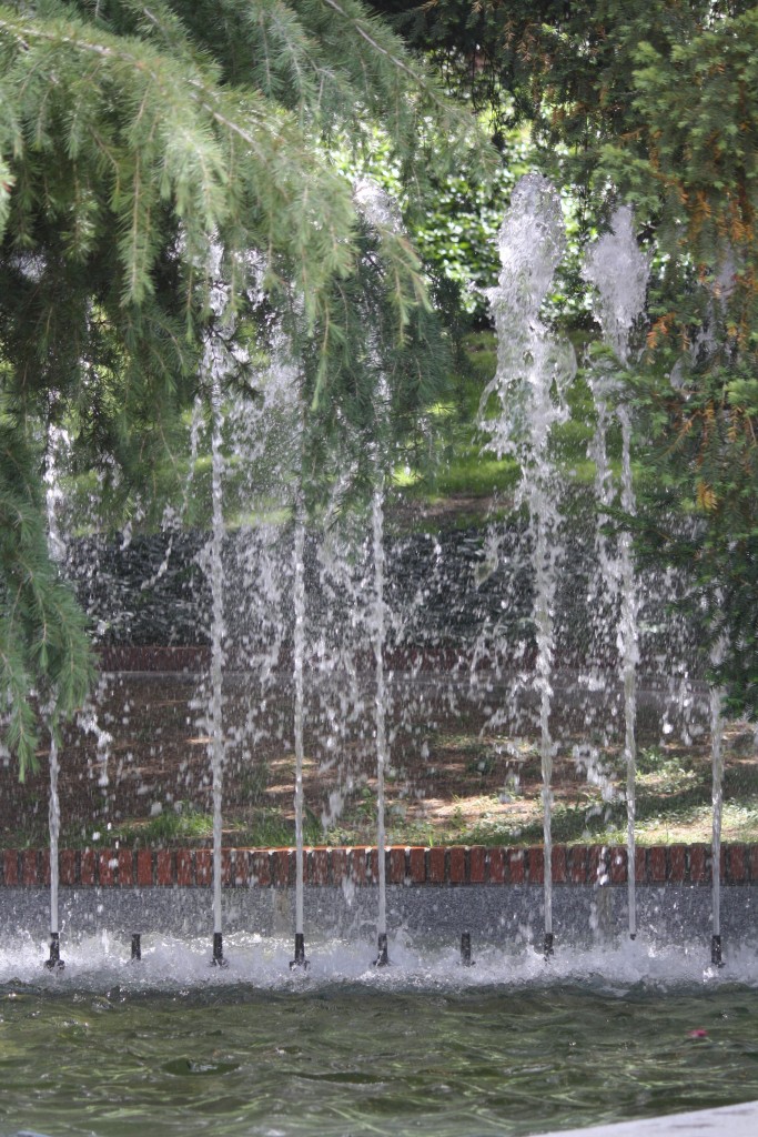 Foto: Fuente - Madrid (Comunidad de Madrid), España