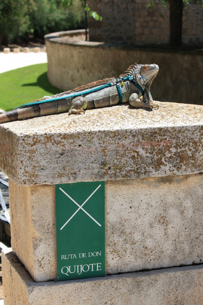 Foto: "En la Ruta del Quijote" - Tembleque (Toledo), España