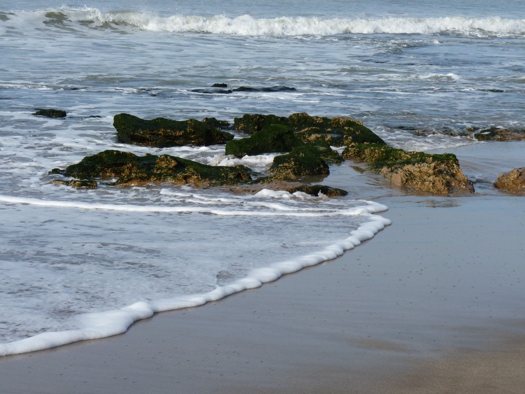 Foto de Santa Clara del Mar (Buenos Aires), Argentina