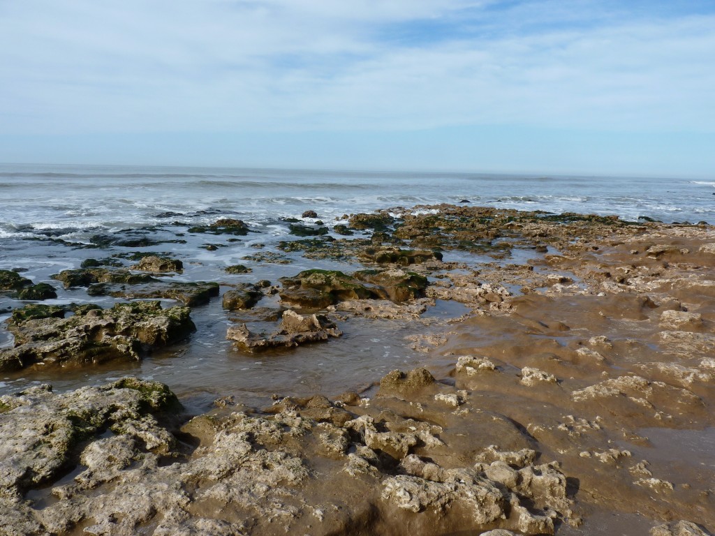 Foto de Santa Clara del Mar (Buenos Aires), Argentina