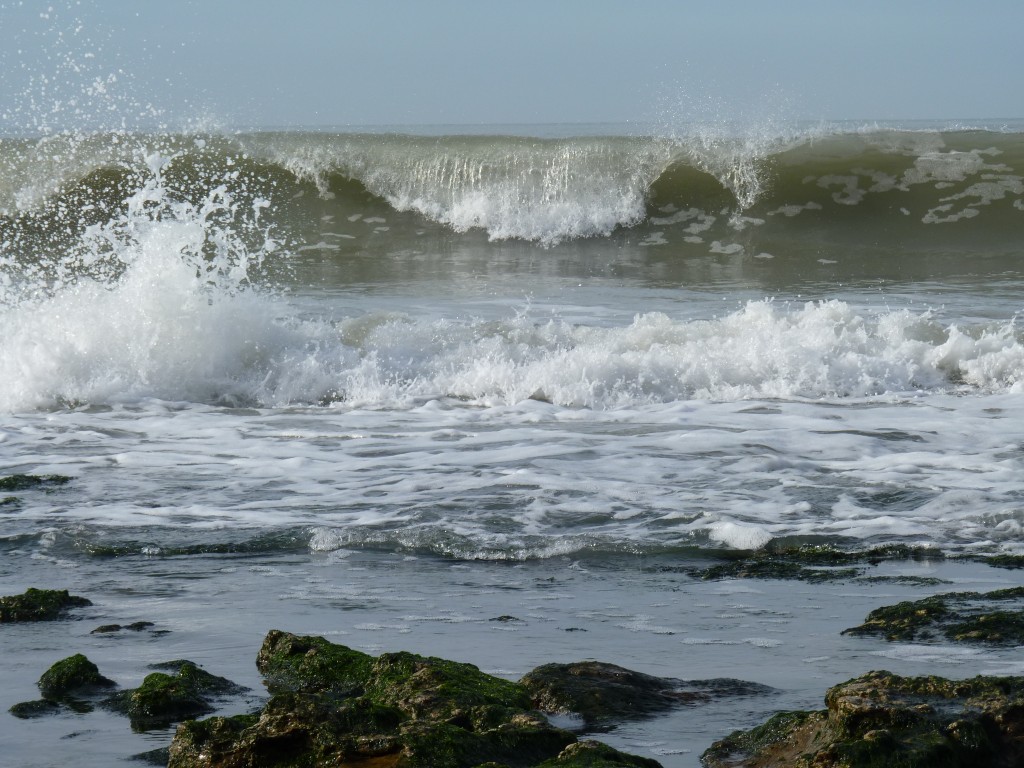 Foto de Santa Clara del Mar (Buenos Aires), Argentina