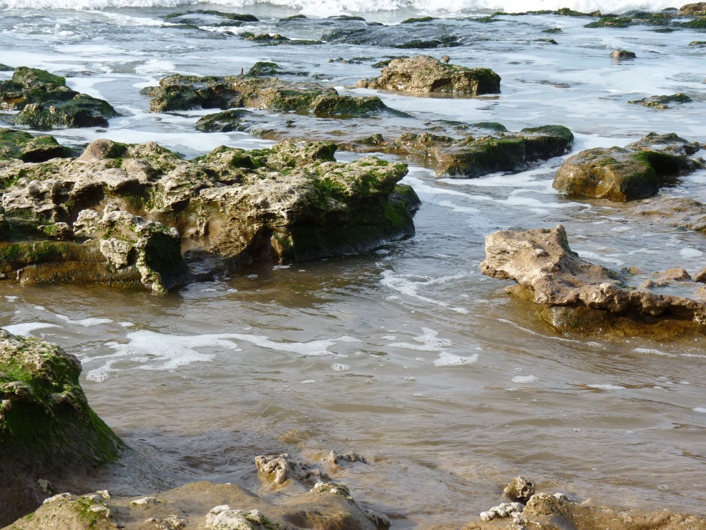 Foto de Santa Clara del Mar (Buenos Aires), Argentina