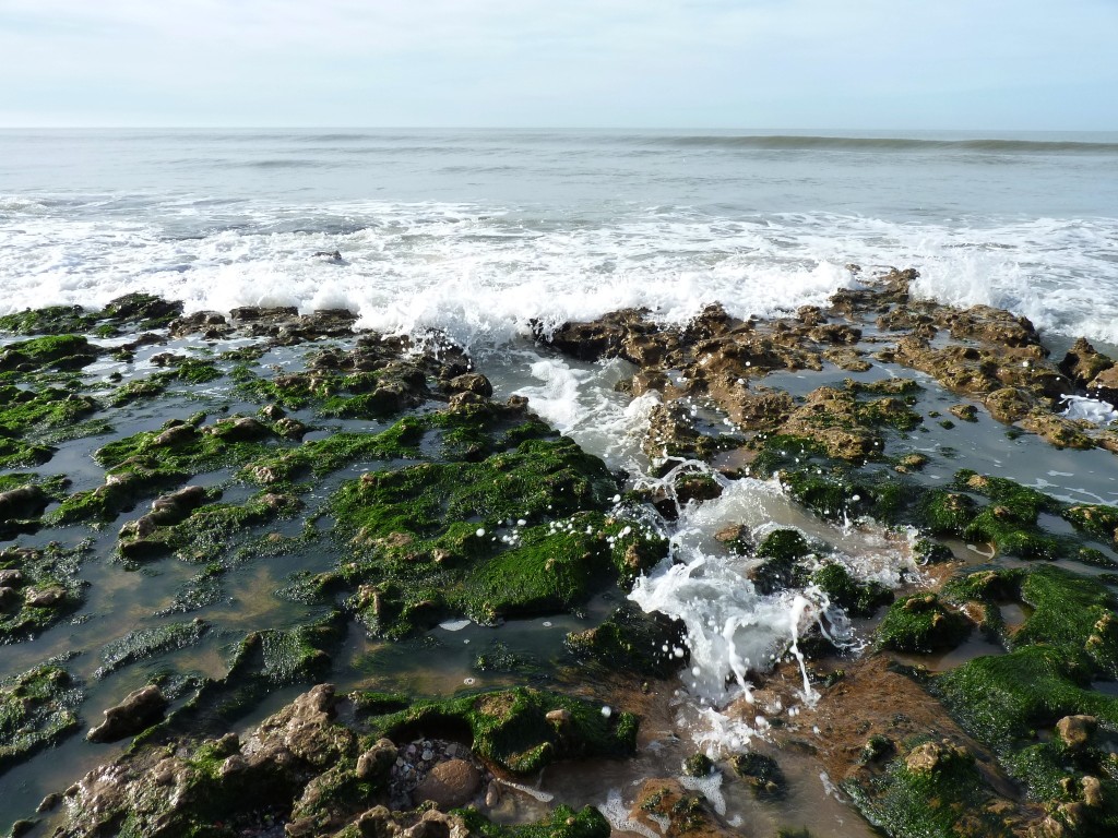 Foto de Santa Clara del Mar (Buenos Aires), Argentina