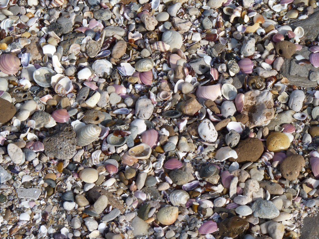 Foto de Santa Clara del Mar (Buenos Aires), Argentina