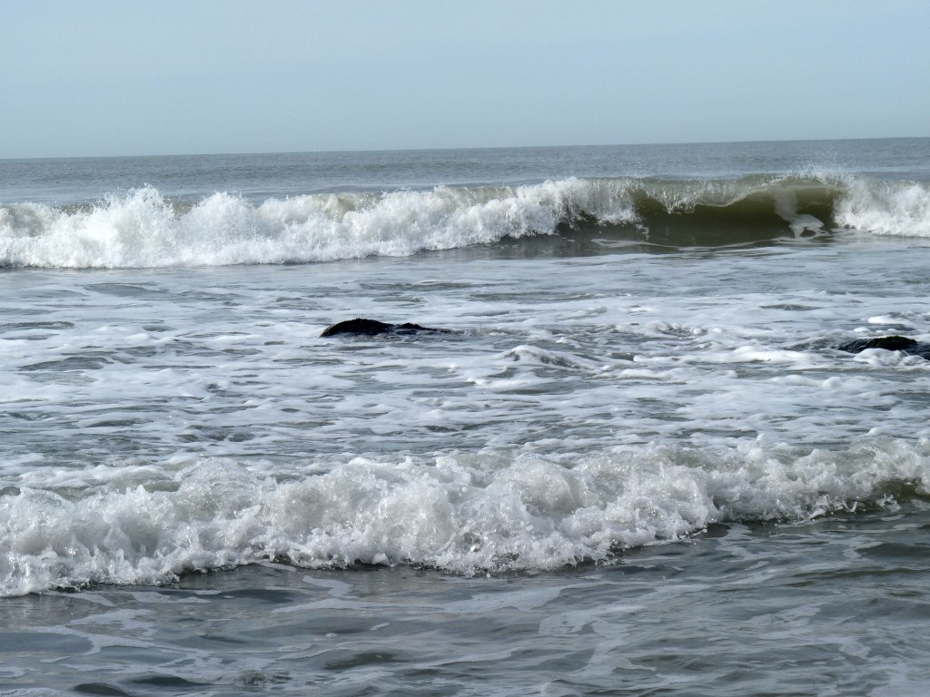 Foto de Santa Clara del Mar (Buenos Aires), Argentina