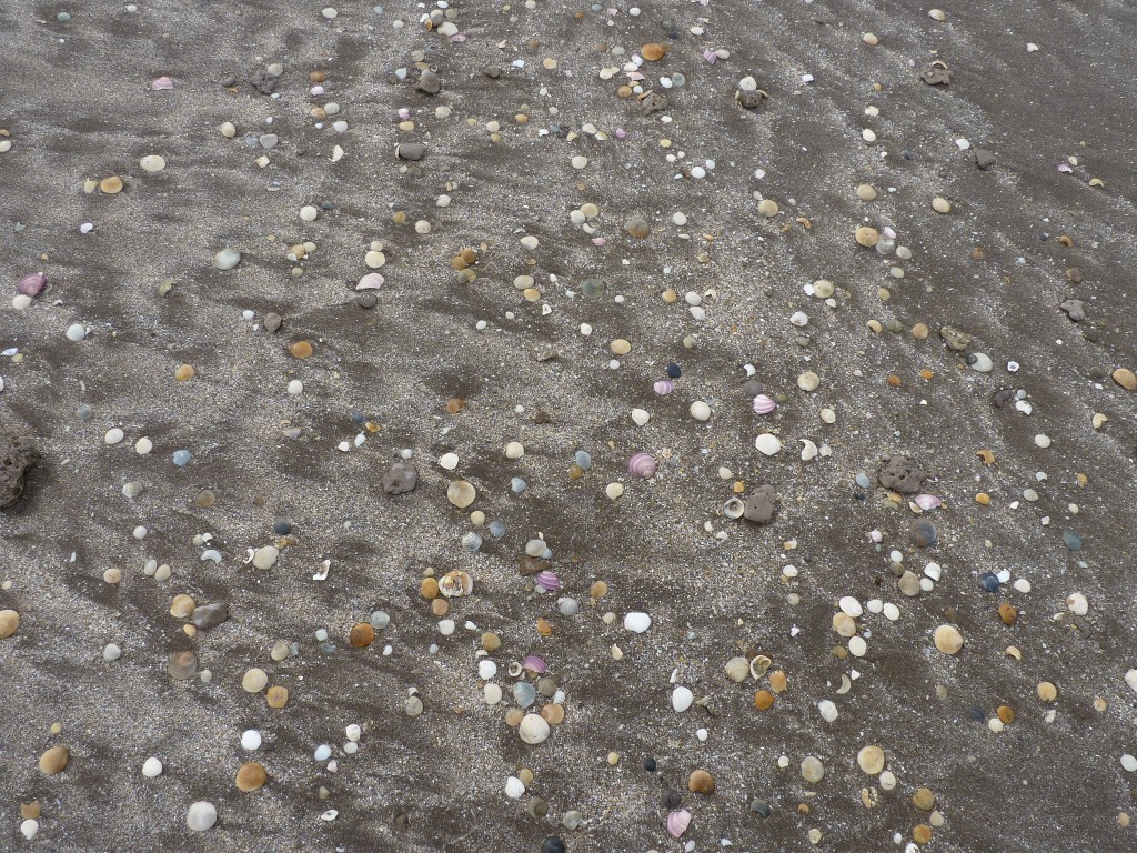 Foto de La Caleta (Buenos Aires), Argentina