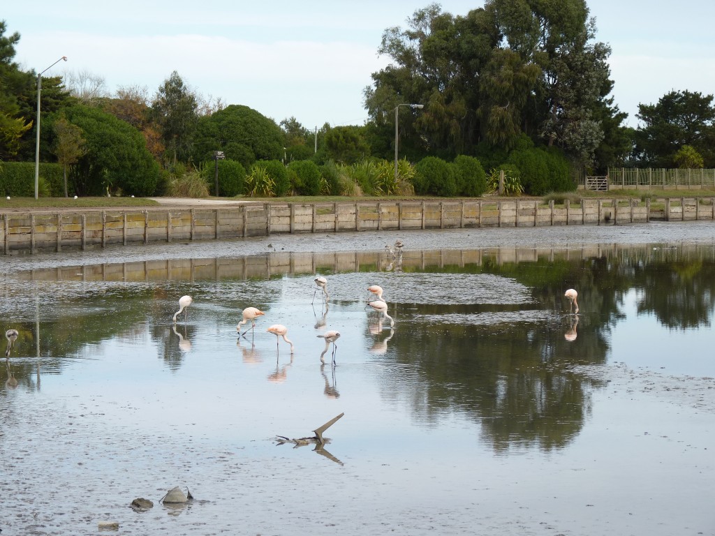 Foto de Mar Chiquita (Buenos Aires), Argentina