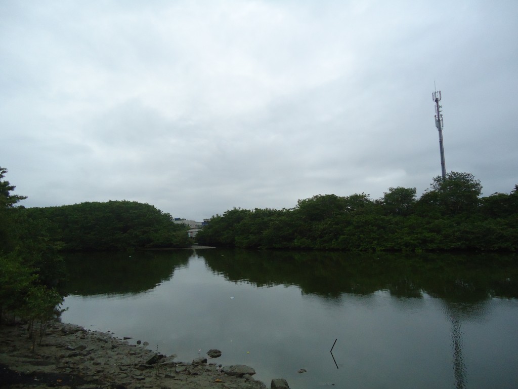 Foto: Río Atacames - Atacames (Esmeraldas), Ecuador