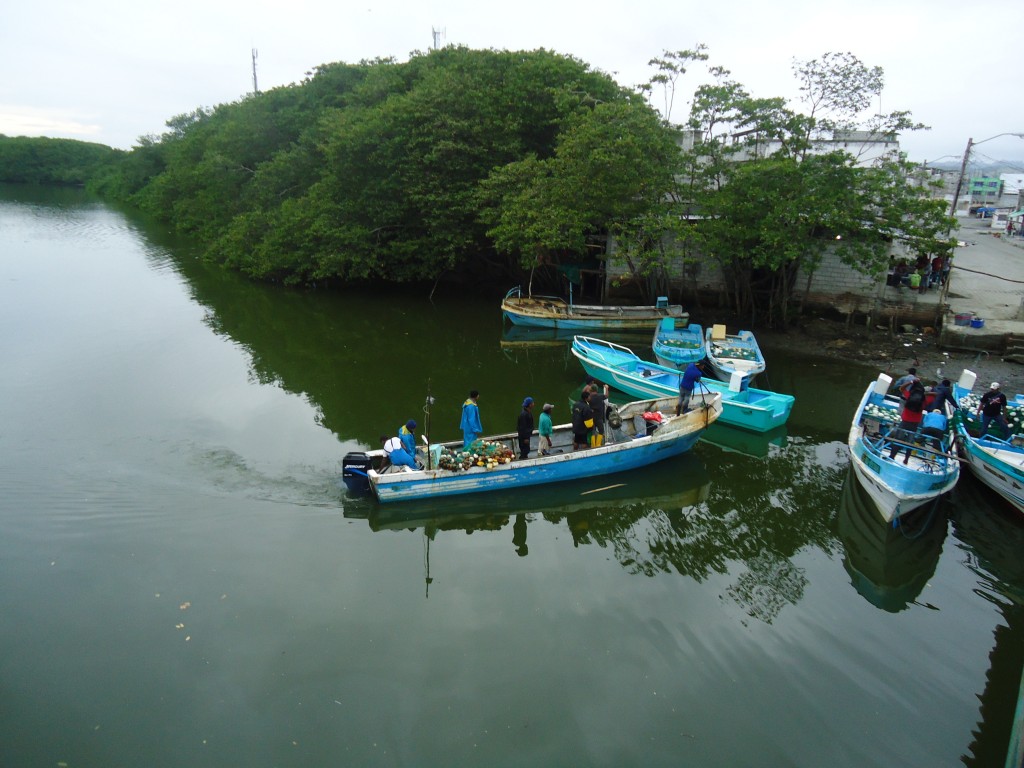 Foto: Río Atacames - Atacames (Esmeraldas), Ecuador
