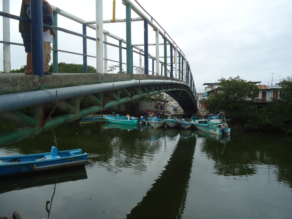 Foto: Río Atacames - Atacames (Esmeraldas), Ecuador
