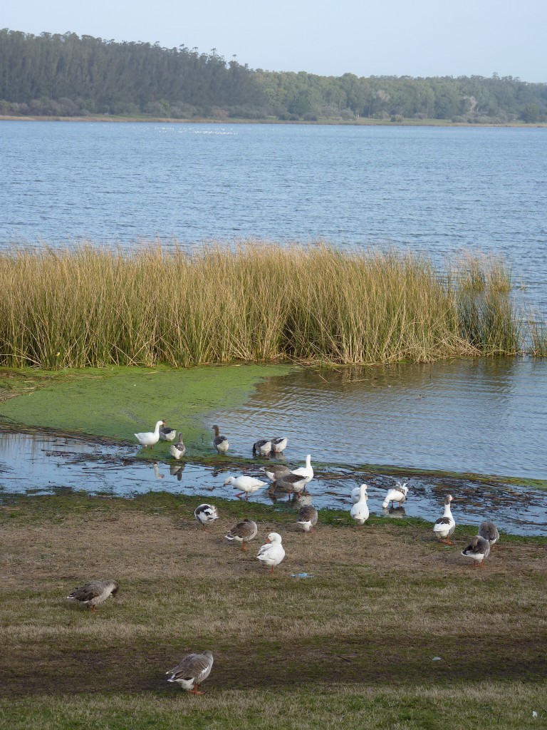 Foto de Laguna de los Padres (Buenos Aires), Argentina