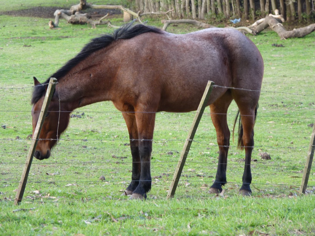 Foto de Laguna de los Padres (Buenos Aires), Argentina