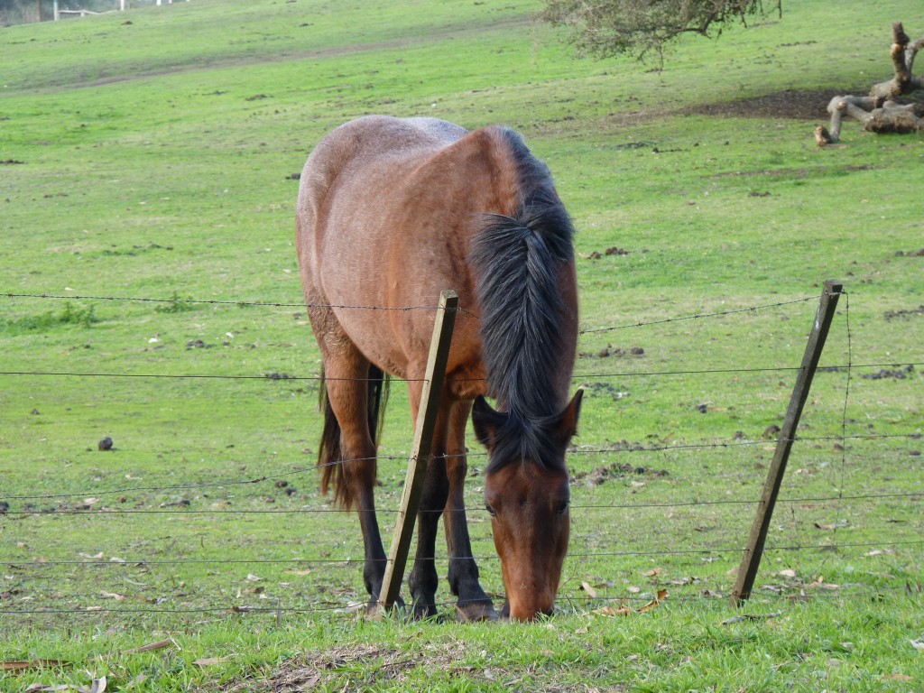 Foto de Laguna de los Padres (Buenos Aires), Argentina