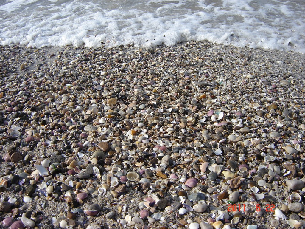 Foto de Santa Clara del Mar (Buenos Aires), Argentina