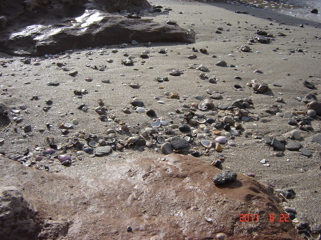 Foto de Santa Clara del Mar (Buenos Aires), Argentina