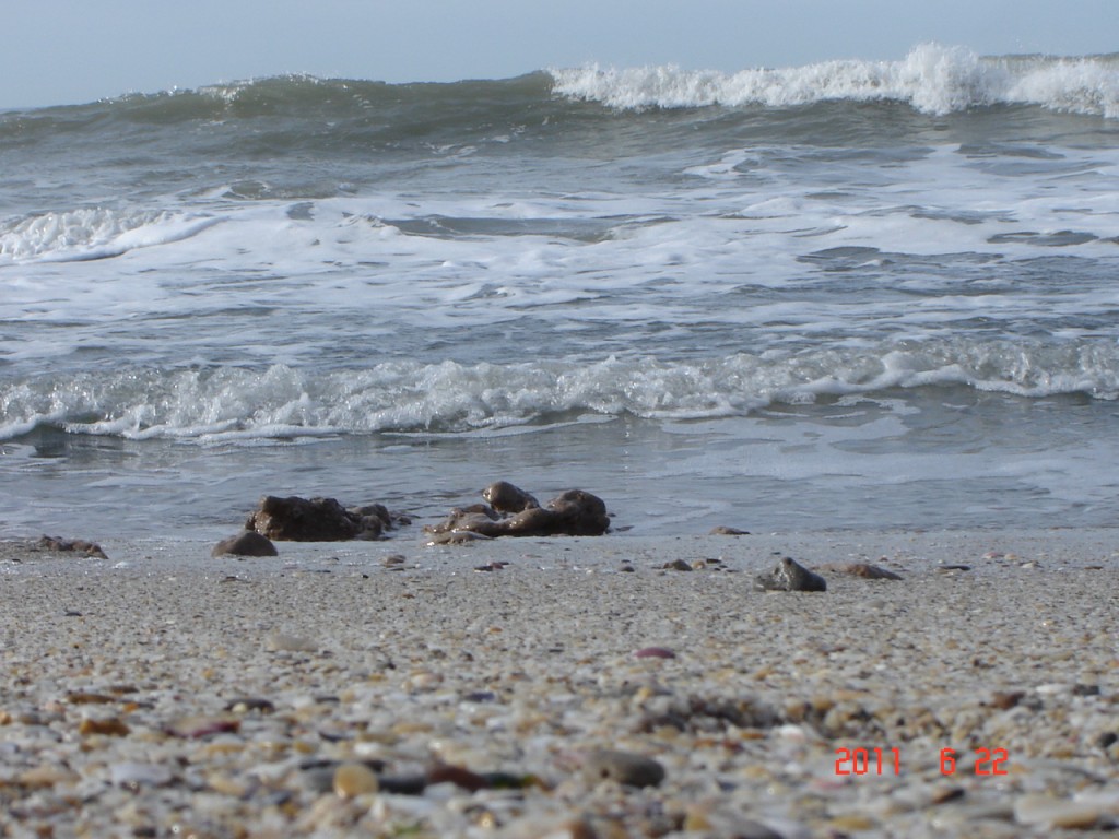 Foto de Santa Clara del Mar (Buenos Aires), Argentina