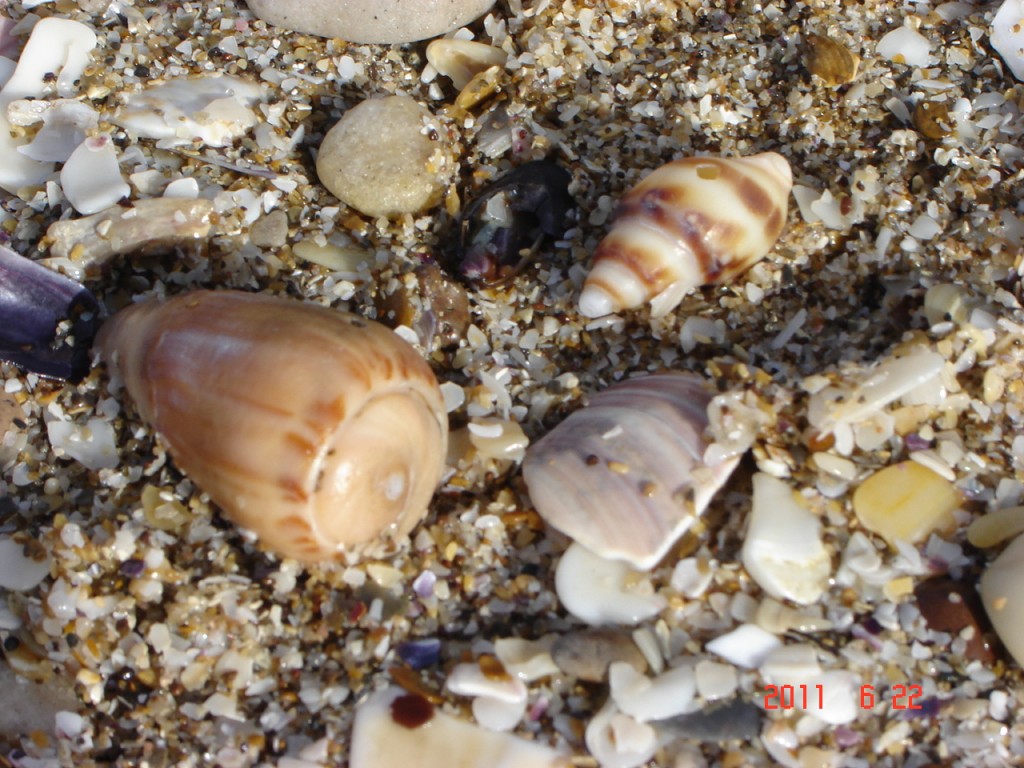 Foto de Santa Clara del Mar (Buenos Aires), Argentina