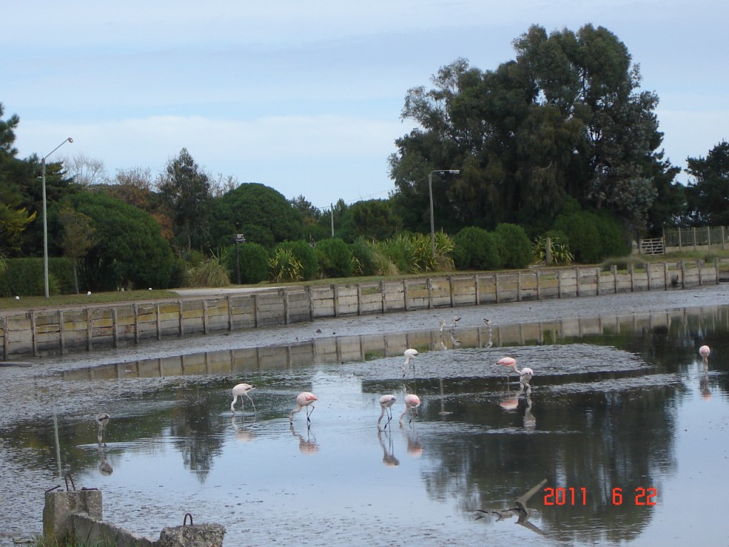 Foto de Mar Chiquita (Buenos Aires), Argentina