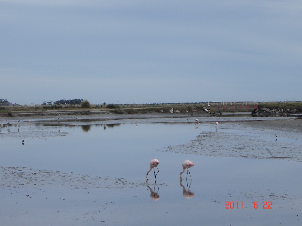 Foto de Mar Chiquita (Buenos Aires), Argentina