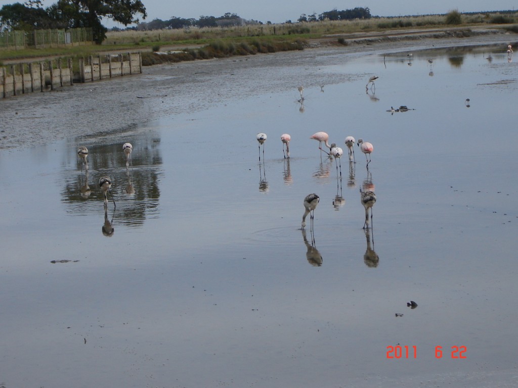 Foto de Mar Chiquita (Buenos Aires), Argentina