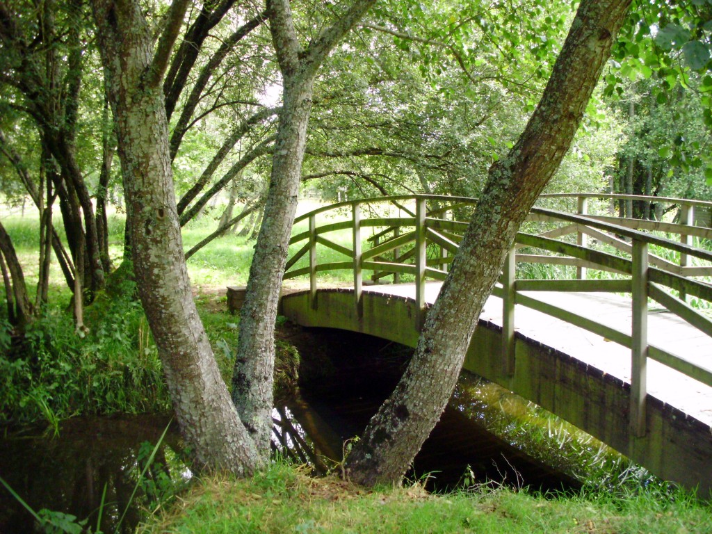 Foto: PASEO DEL RIO PONTIÑAS - Lalin (Pontevedra), España