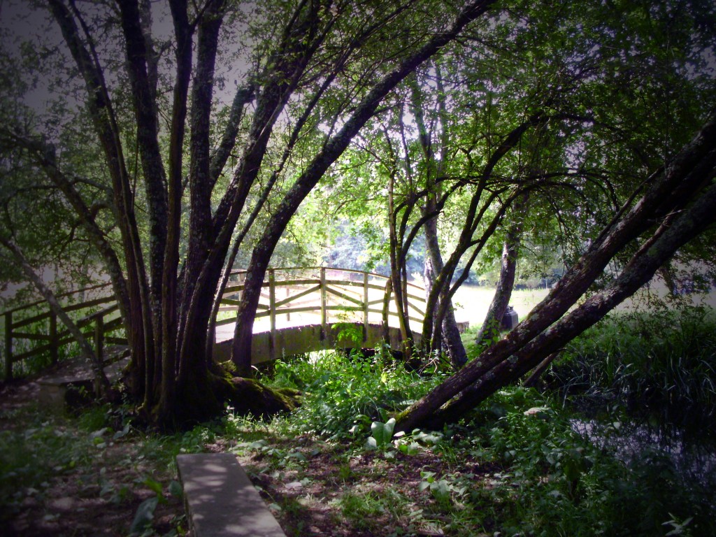 Foto: PASEO DEL RIO PONTIÑAS - Lalin (Pontevedra), España
