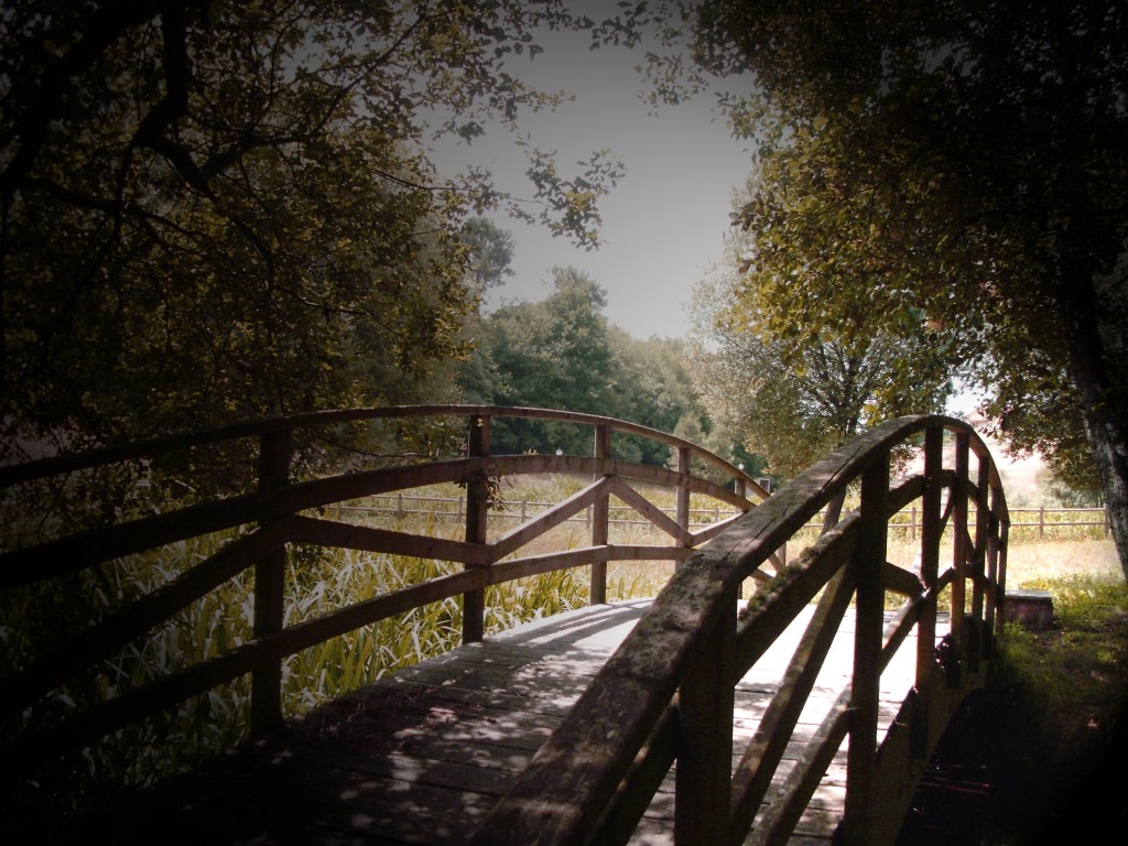 Foto de Lalin (Pontevedra), España