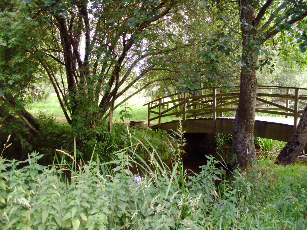 Foto: PASEO DEL RIO PONTIÑAS - Lalin (Pontevedra), España
