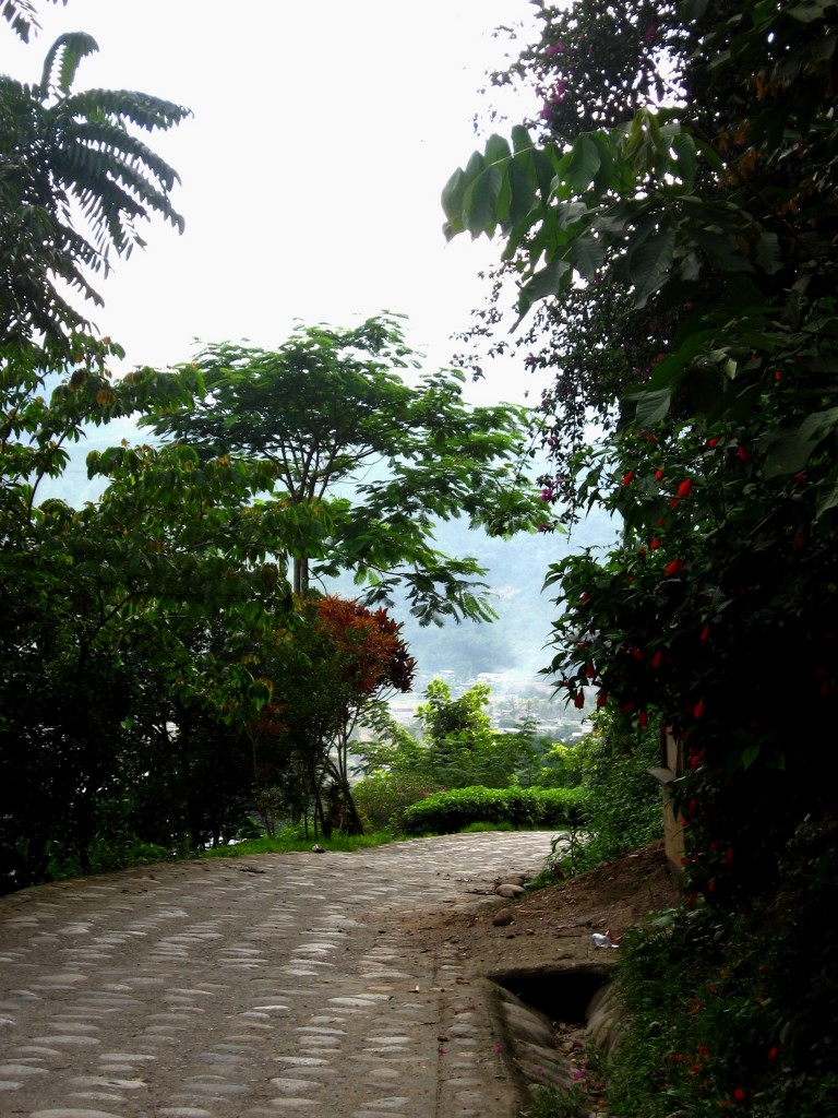 Foto: CAMINITO - Chanchamayo, Perú