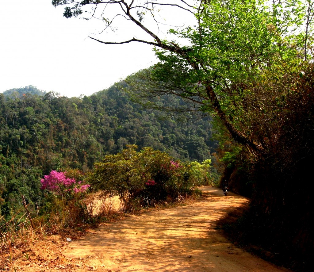 Foto: PAISAJE EN TIROL - Chanchamayo, Perú