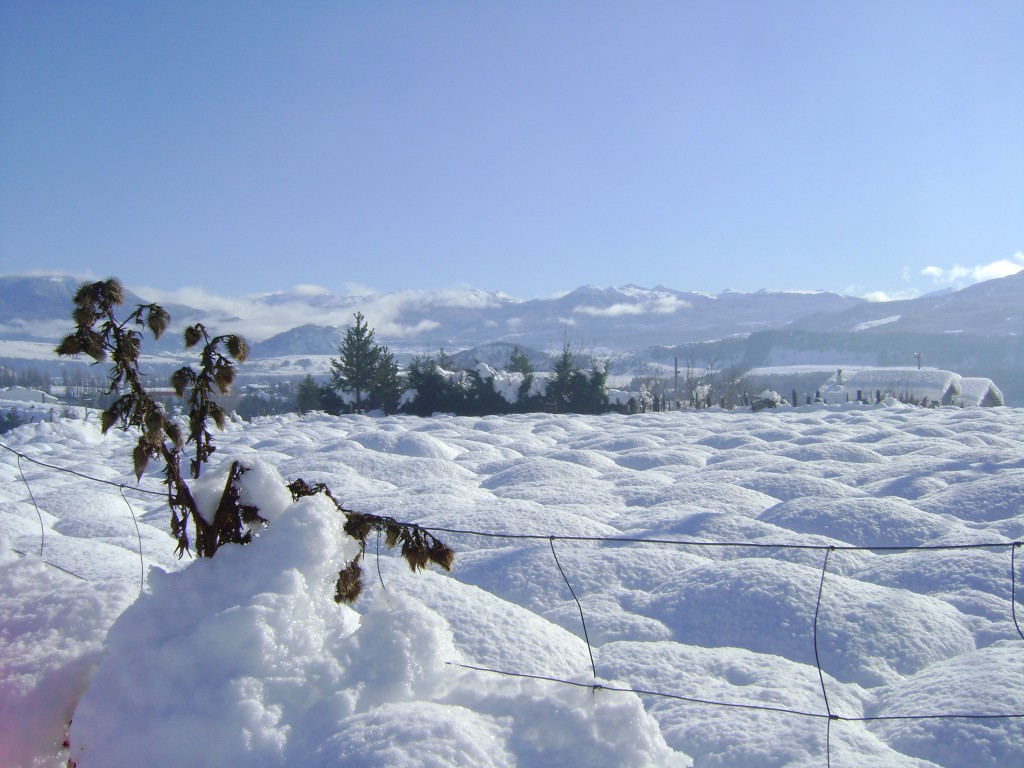 Foto: Cerros de Coyhaique - Coyhaique (Aisén del General Carlos Ibáñez del Campo), Chile