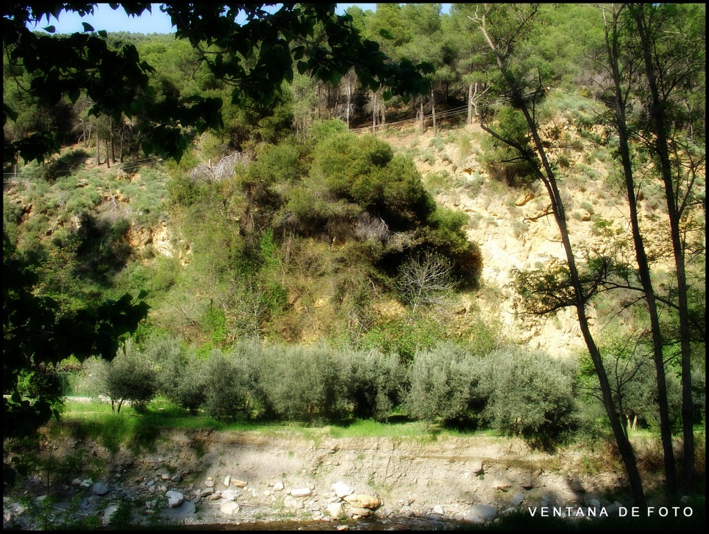 Foto: SIERRA - Laujar De Andarax (Almería), España