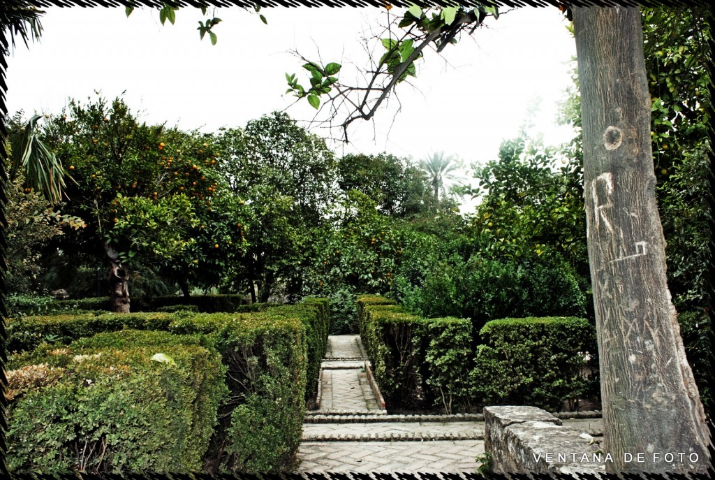 Foto: ALCAZAR DE LOS REYES CRISTIANOS - Córdoba (Andalucía), España