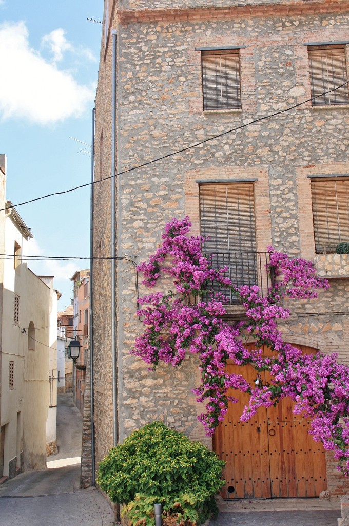 Foto: Centro histórico - Vila-Rodona (Tarragona), España