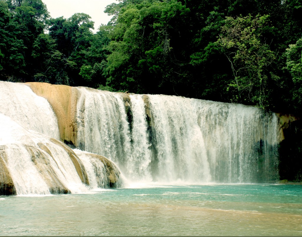 Foto: CASCADAS DE AGUA AZUL - Chiapas, México