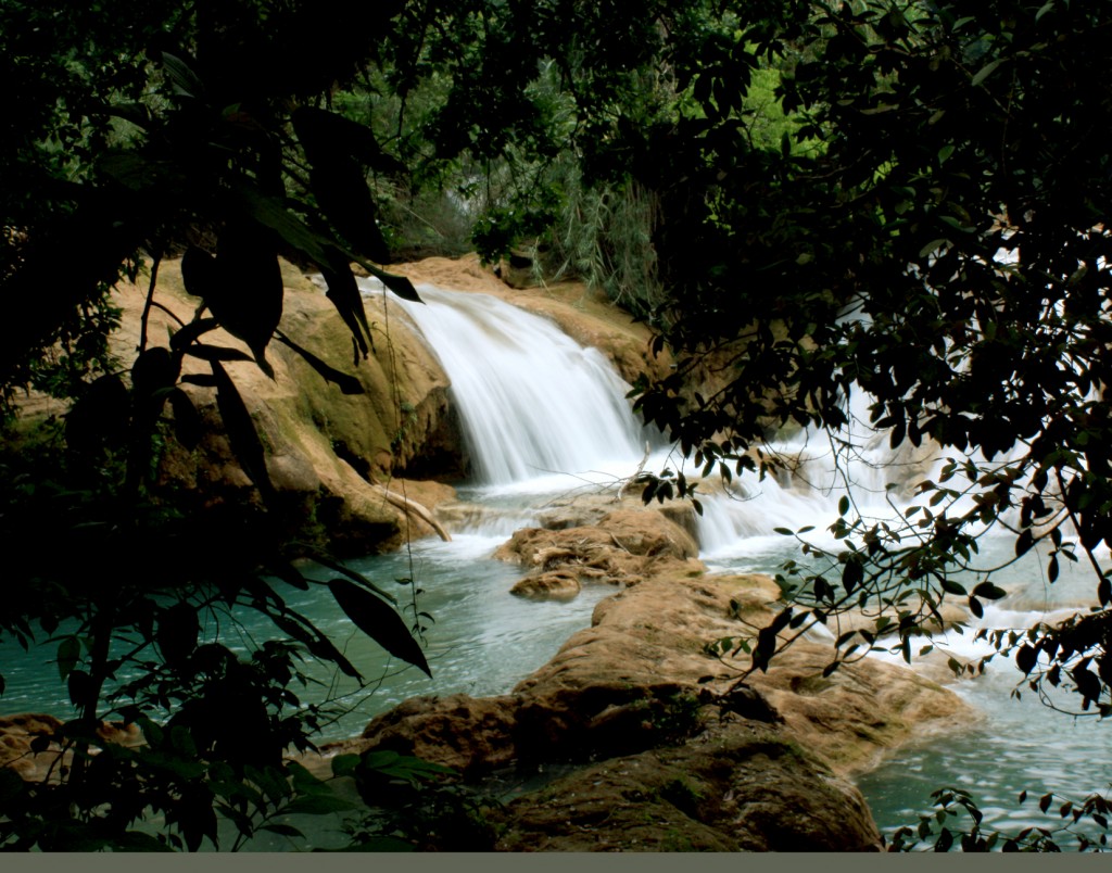 Foto: CASCADAS DE AGUA AZUL - Chiapas, México
