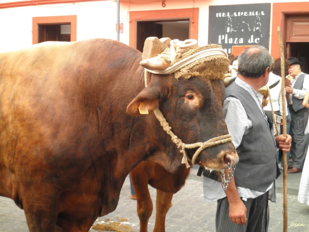 Foto de Galdar (Las Palmas), España