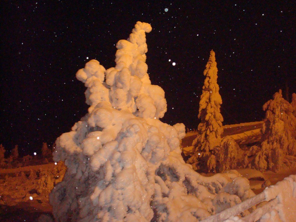 Foto de Salla, Finlandia