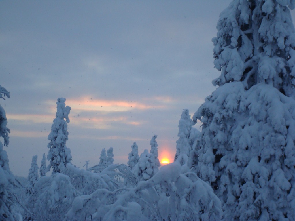 Foto de Salla, Finlandia