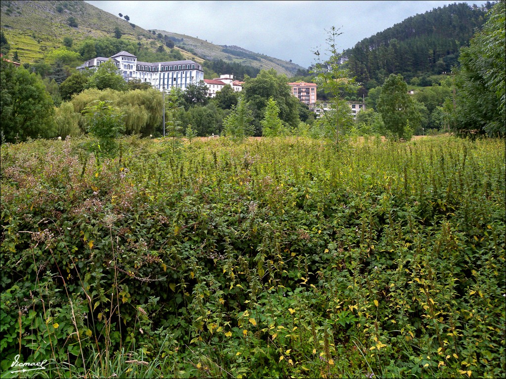 Foto: 110630-002 CESTONA - Zestoa (Gipuzkoa), España