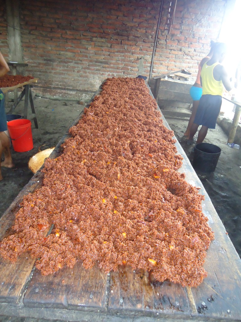 Foto: Cocada - Atacames (Esmeraldas), Ecuador