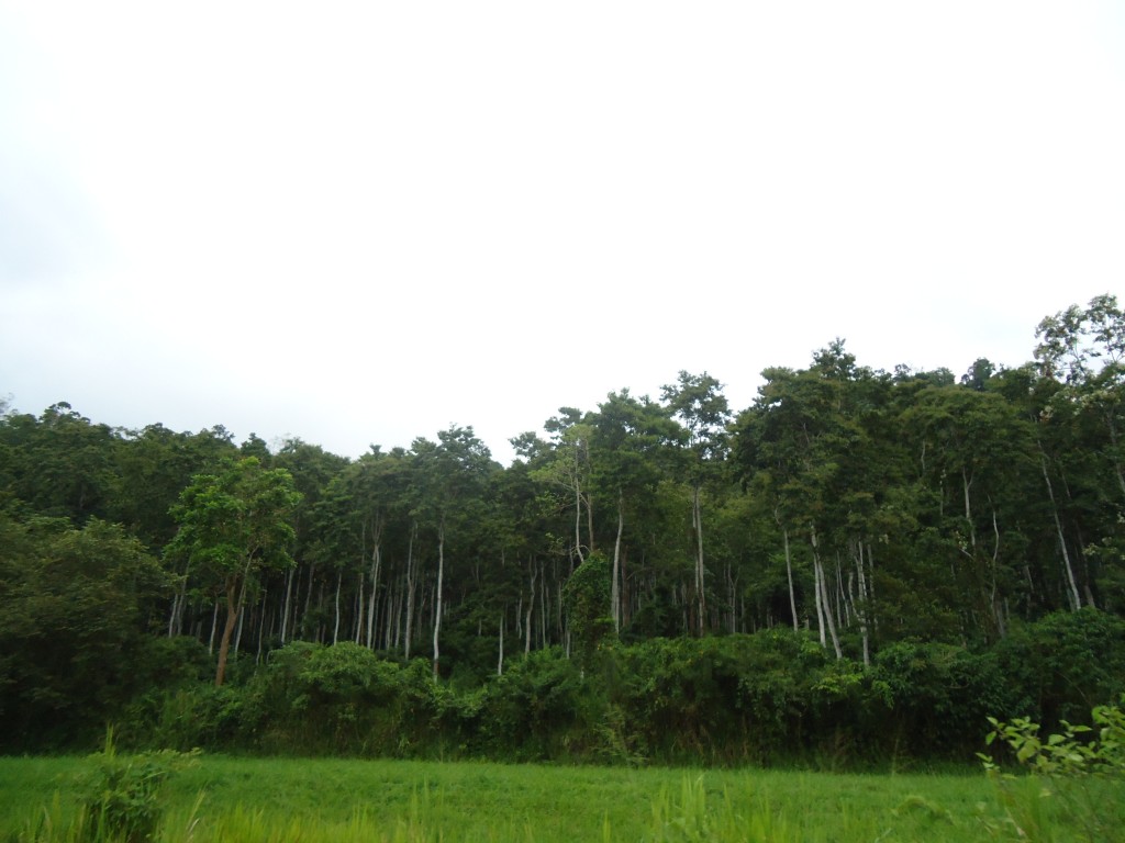 Foto: Paisaje - Atacames (Esmeraldas), Ecuador